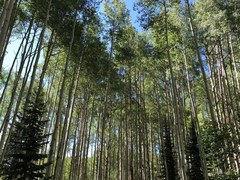 Denver Group Scenario Session