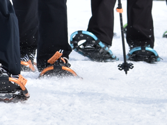 Beginner Snowshoe School - One Day Session Beginner Snowshoe School - One Day Session
