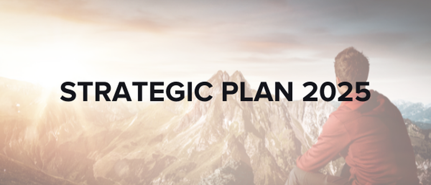 Strategic Plan 2025