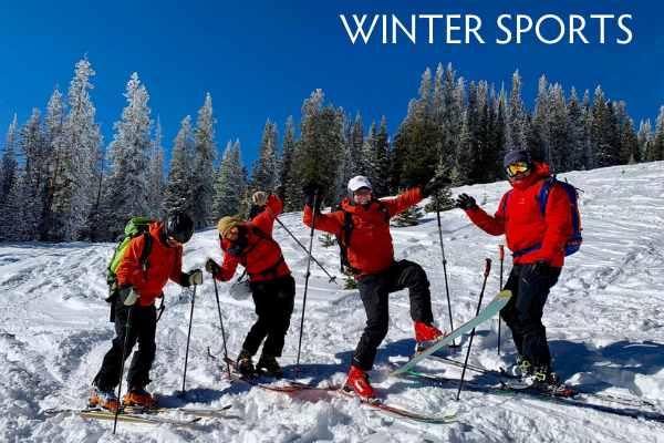 winter sports.png