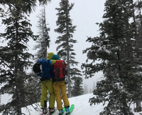 Action Alert: Winter Travel Planning Begins on the Rio Grande National Forest