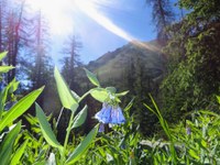 4 Quick (and Dirty) Tips for Spring Hiking in Colorado