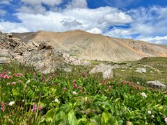 A Summer of Open Trails and Renewed Access Thanks to the SB 58
