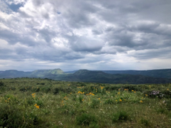 A week working in the Flat Tops