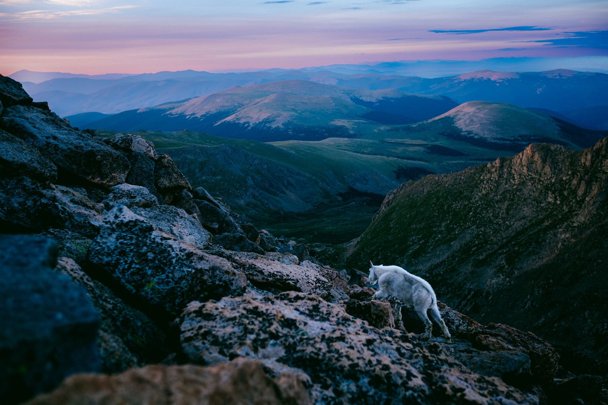 Update from your Chief Executive Officer — The Colorado Mountain Club