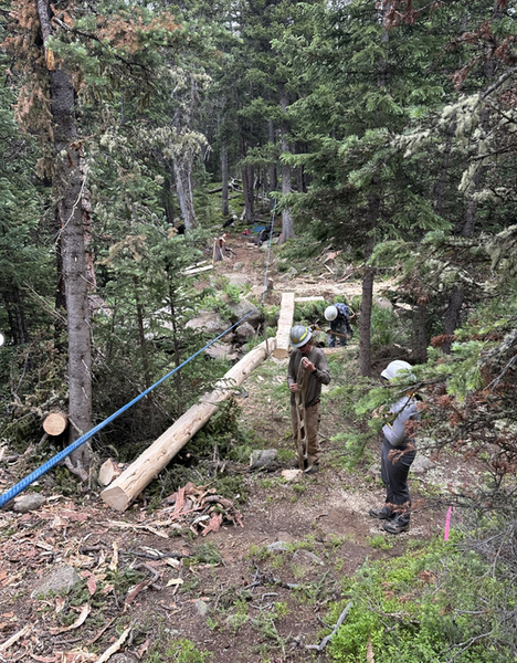 CMC Trail 1.png