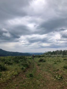 A trail in the Flat Tops Wilderness