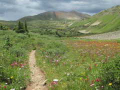 Hit the Trail with Confidence: The 10th Edition of the official Colorado Trail Guidebook is Here!