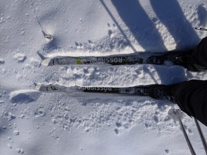 Skinny Skis looking down.jpg