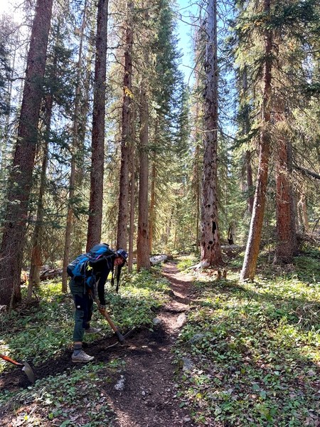 social_vibrant_trailwork_lightshadows.jpg