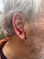 March Risk Management Corner