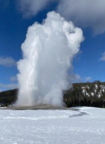 old faithful.JPG