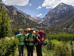 Summer Update From Our Stewardship Crews!