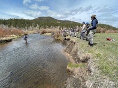 Update: Activity Standards