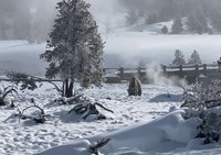 Yellowstone in Winter