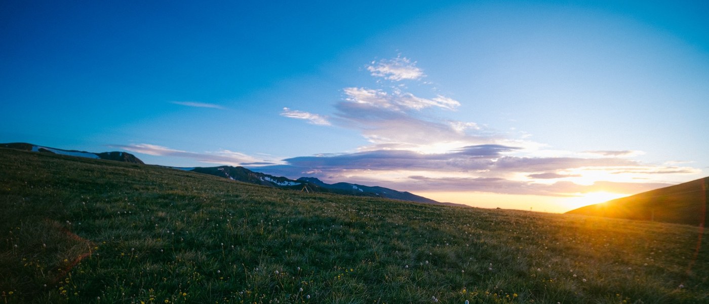 Love Colorado?