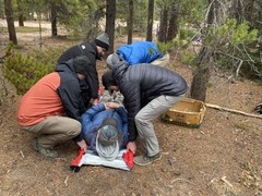 Incident Management Field Day - Boulder - 2026