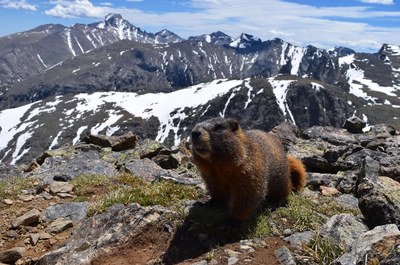 Level 3: Scramble Field Day – IPW - Arapahoe Traverse