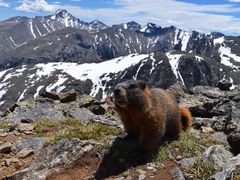 Level 3: Scramble Field Day – IPW - Arapahoe Traverse