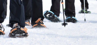 Beginner Snowshoe School - 2026