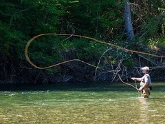 Field Component - Day 1 Casting – Anderson Park
