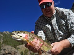 Field Component - Day 2 – Lower Michigan Creek