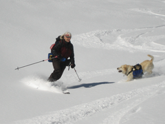 Telemark Ski School - Denver - 2027