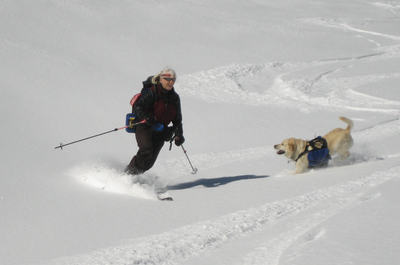 Telemark Ski School - Denver - 2027