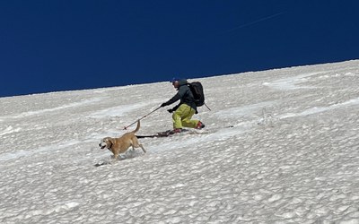 Telemark Ski School - Denver - 2027
