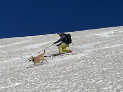Telemark Ski School - Denver - 2027