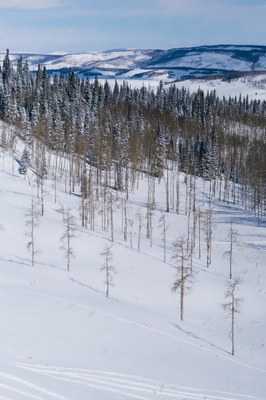 Winter Camping School - 2025