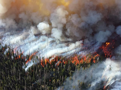 Backpacking Section (BPX) Educational Series - Managing Wildfire Risk in the Backcountry (Zoom Event)