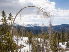 Photography Section Reboot