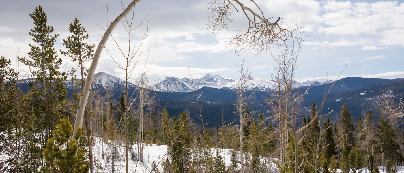 Photography Section Reboot