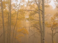 Photography Section Reboot