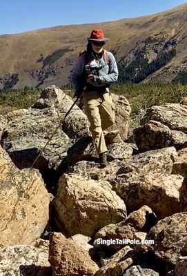 Single Tall Pole Hiking – Mt Galbraith