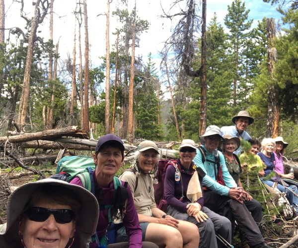 20190704 1047 CMC log shot all.jpeg