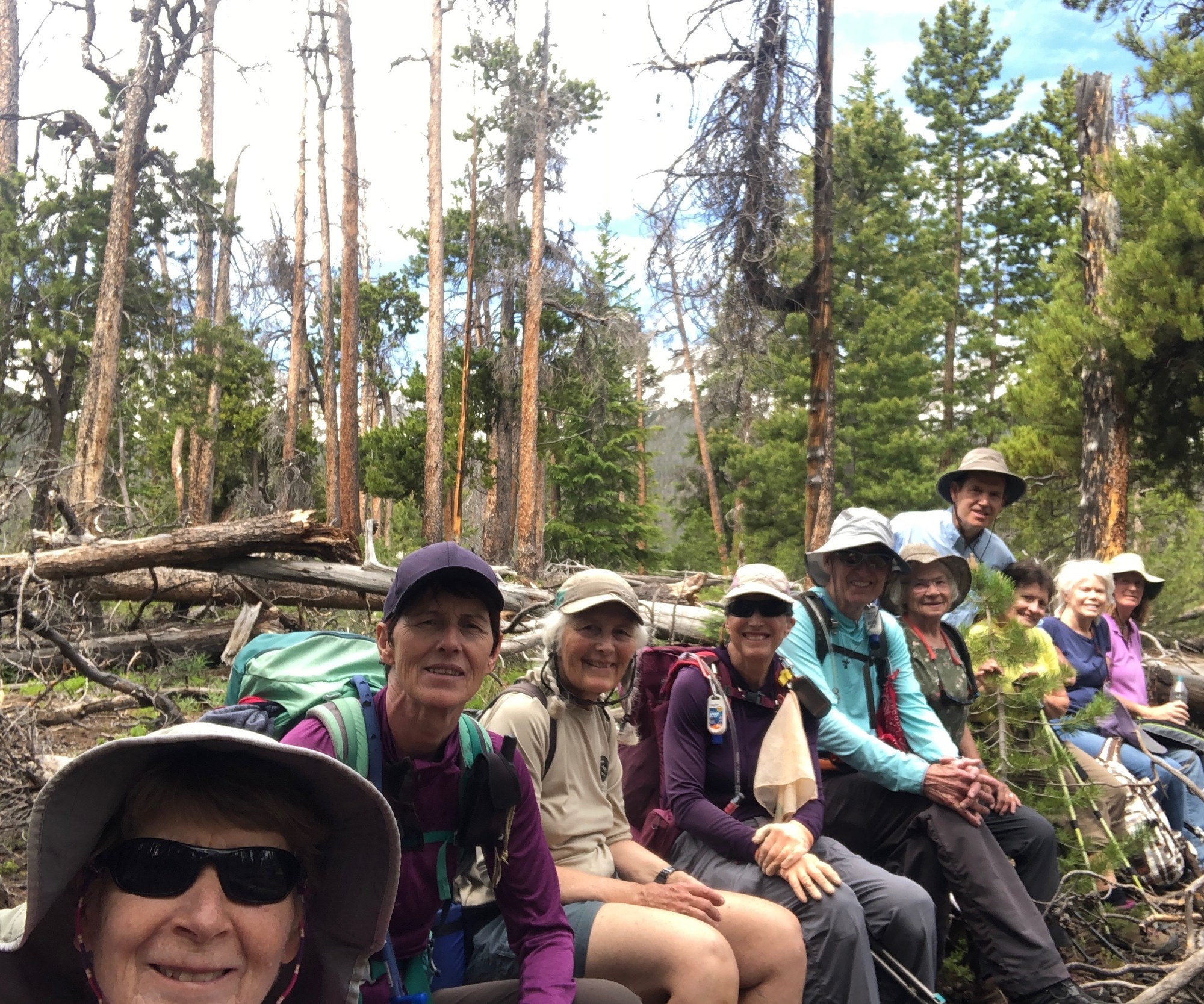 20190704 1047 CMC log shot all.jpeg