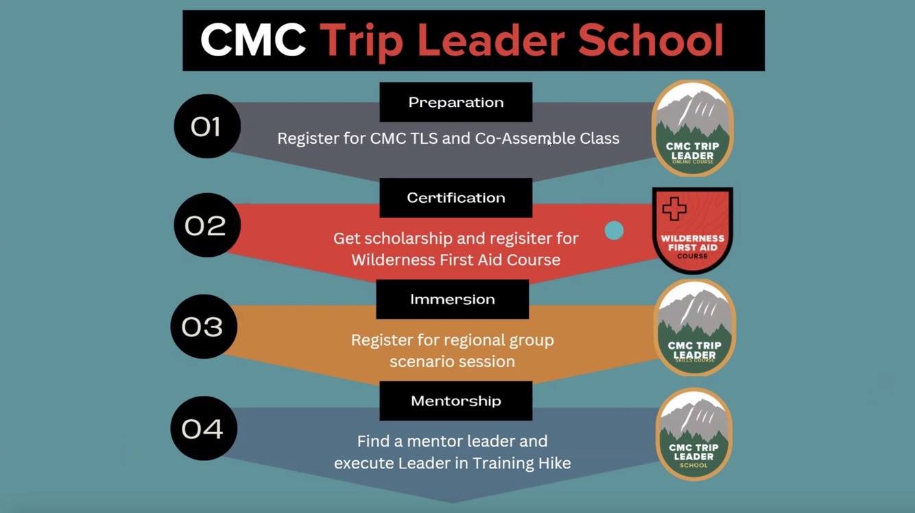 Screenshot 2025-04-20 at 1.21.56 PM.jpg