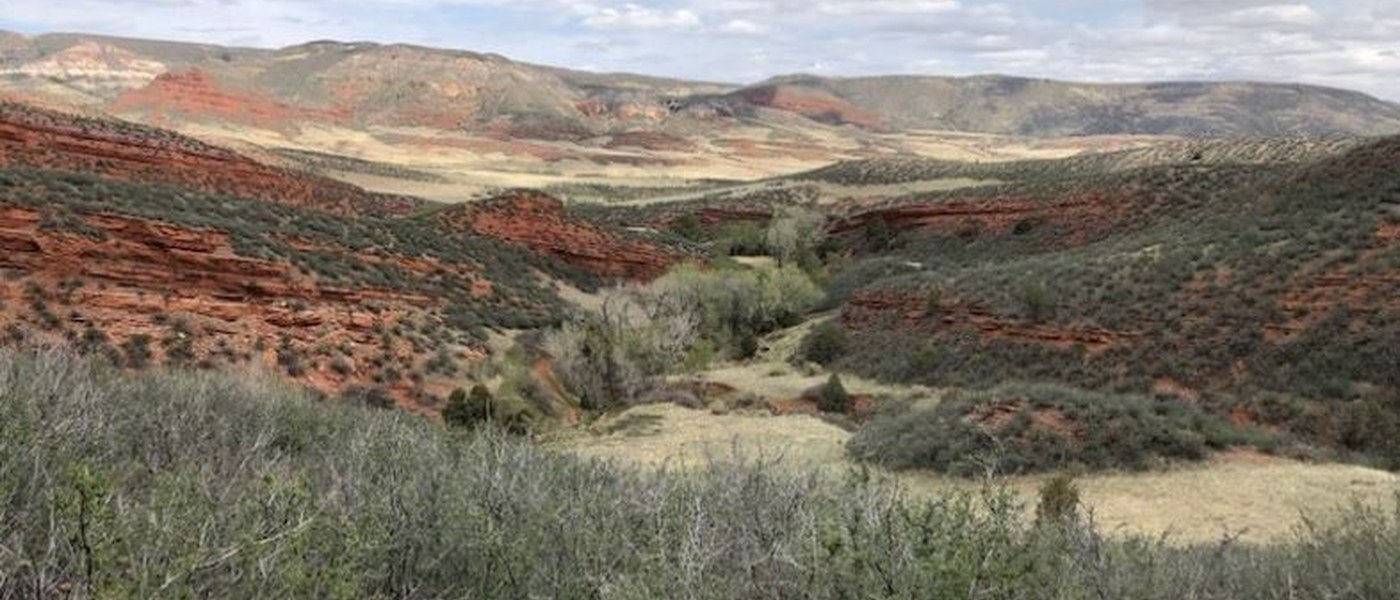 Geology of Red Mountain Open Space