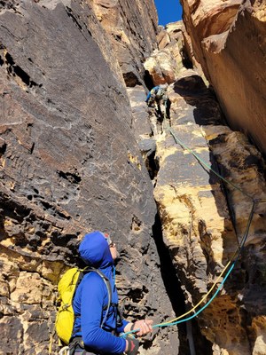 ARC Pro Multipitch Concepts - 2024