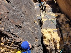 ARC Pro Multipitch Concepts - 2026