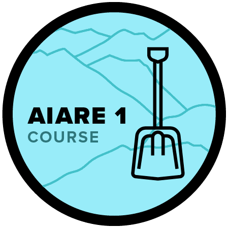 AIARE1Course@4x (1).png