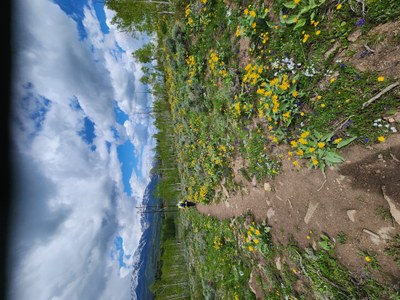 Ascending Hikes – Acorn Creek TH