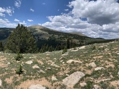 Ascending Hikes – Ben Tyler Trail