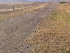 Ascending Hikes – Coalton Trail (from Coalton Trailhead) Ascending Hikes – Coalton Trail (from Coalton Trailhead)