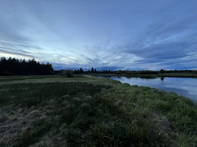 Missing Activity Template – Maxwell Falls