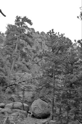 Missing Activity Template – Mt. Margaret Trail