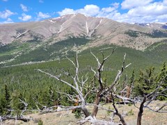 Ascending Hikes – Mt Silverheels