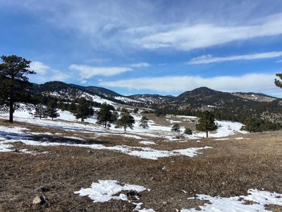 Ascending Hikes – White Ranch Park